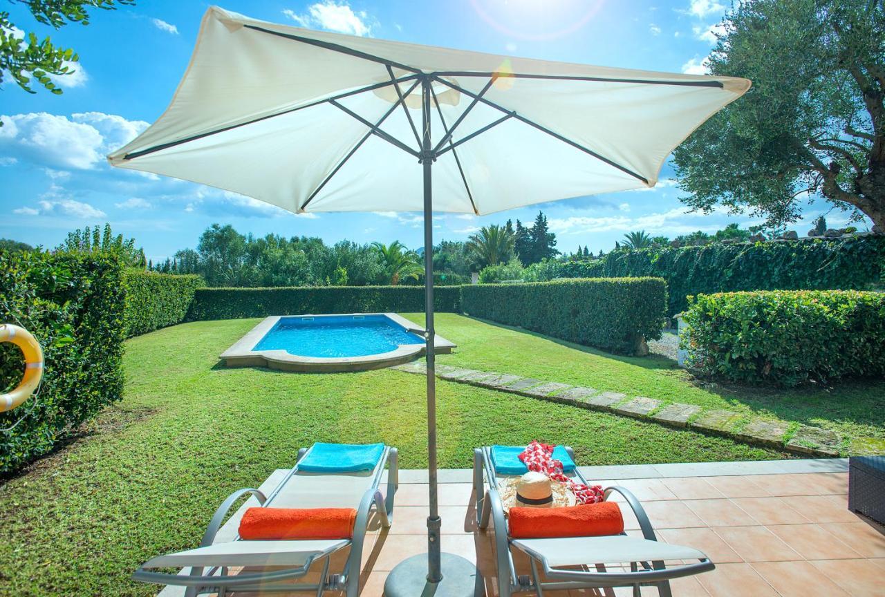 Owl Tarongers - For Couples * Puerto Pollensa